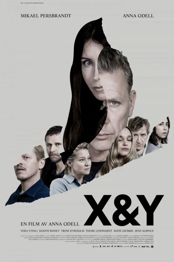 X&Y Poster