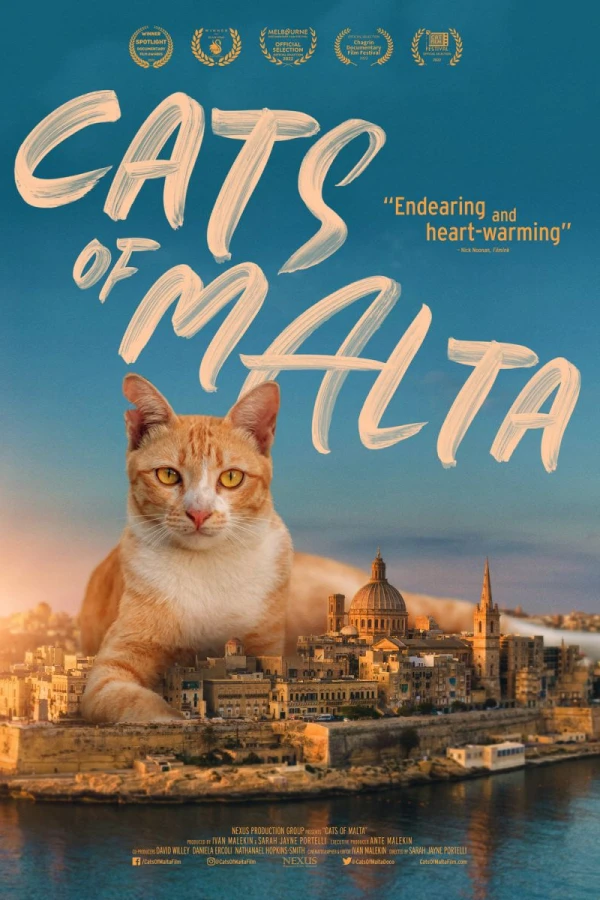 Cats of Malta Cartaz