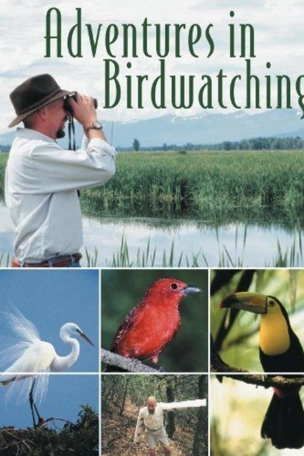 Adventures in Birdwatching Cartaz